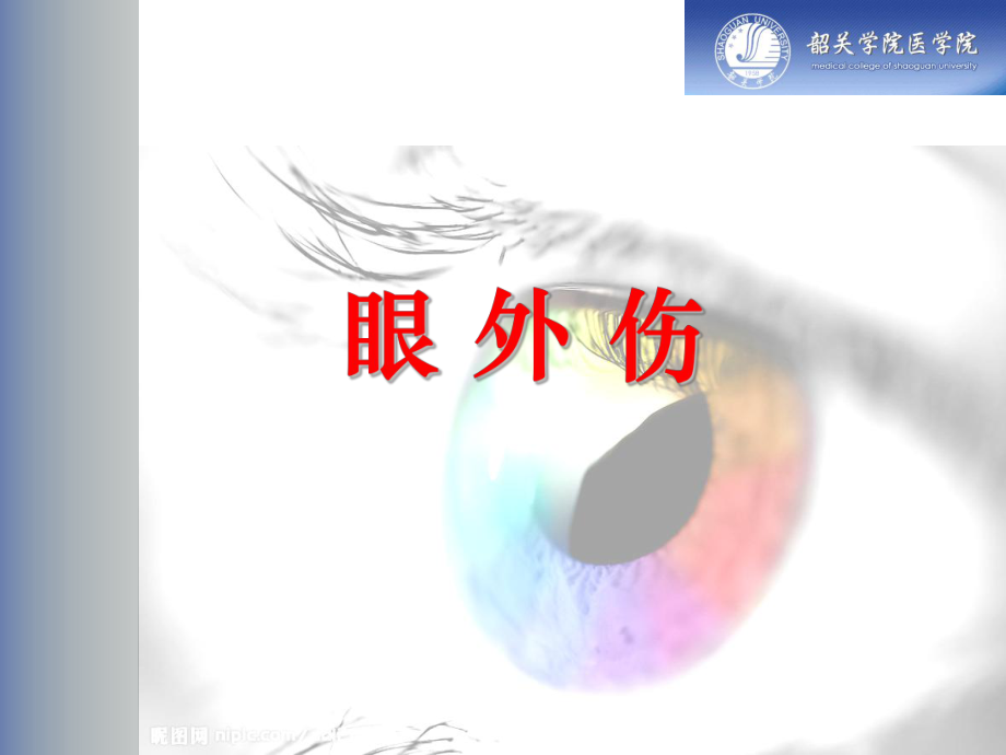 眼科学：12眼外伤_第1页