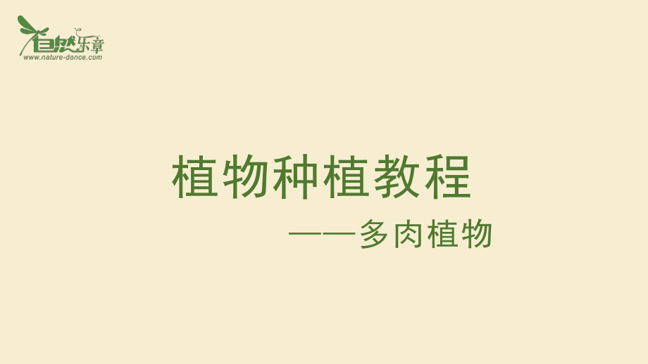植物种植教程-多肉ppt课件_第1页