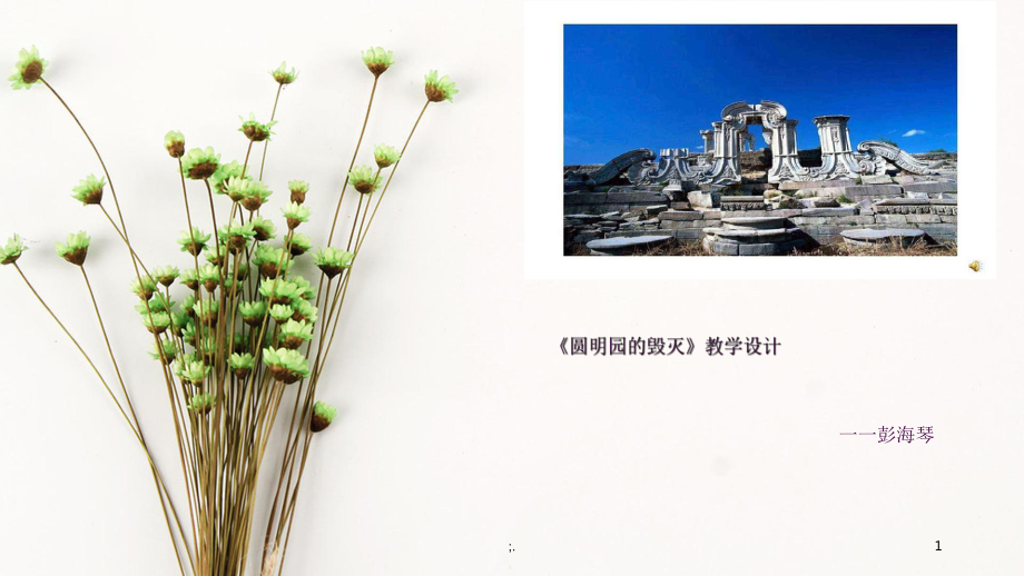 数字资源作品圆明园的毁灭教案ppt课件_第1页