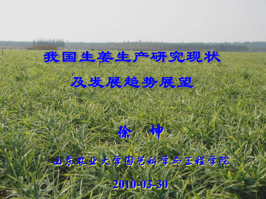 徐坤教授我国生姜生产研究现状及发展趋势展望_第1页