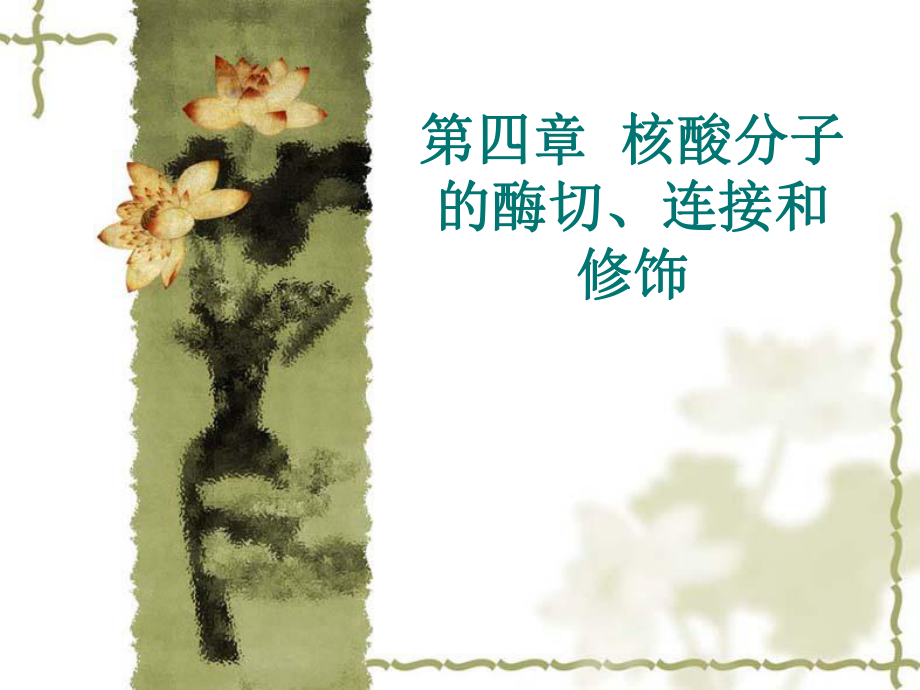 第4章-核酸分子的酶切、连接和修饰ppt课件_第1页