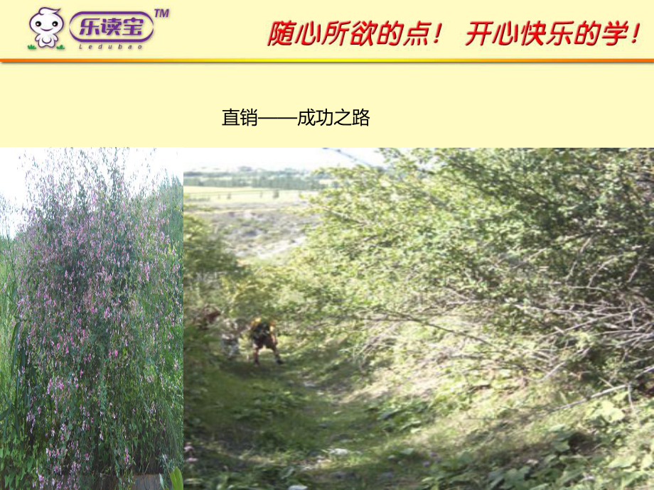 直销成功之路_第1页