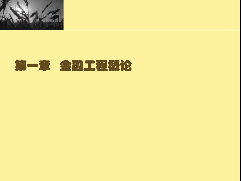 金融工程chapter1_第1页