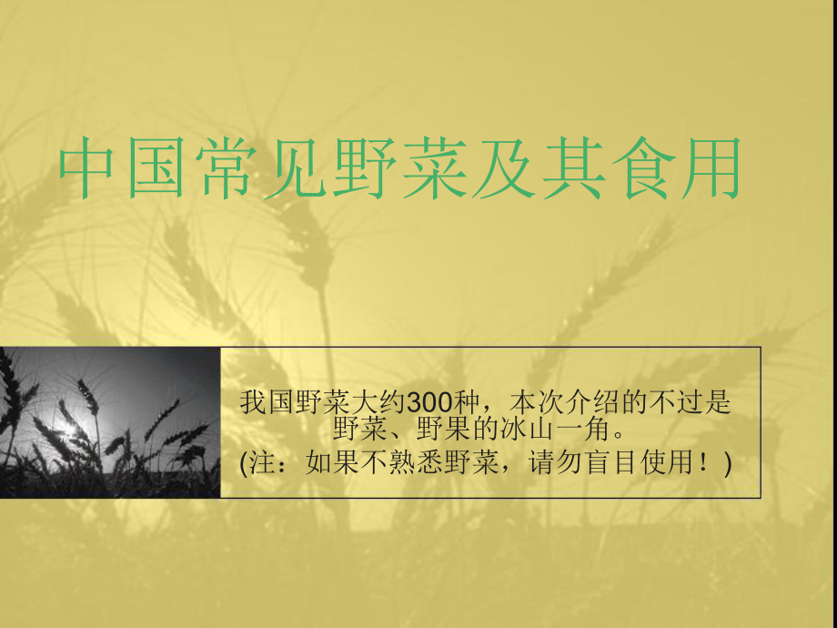 常见野菜及其食用价值_第1页