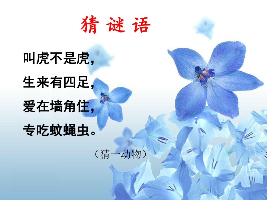小壁虎借尾巴公开课ppt课件_第1页