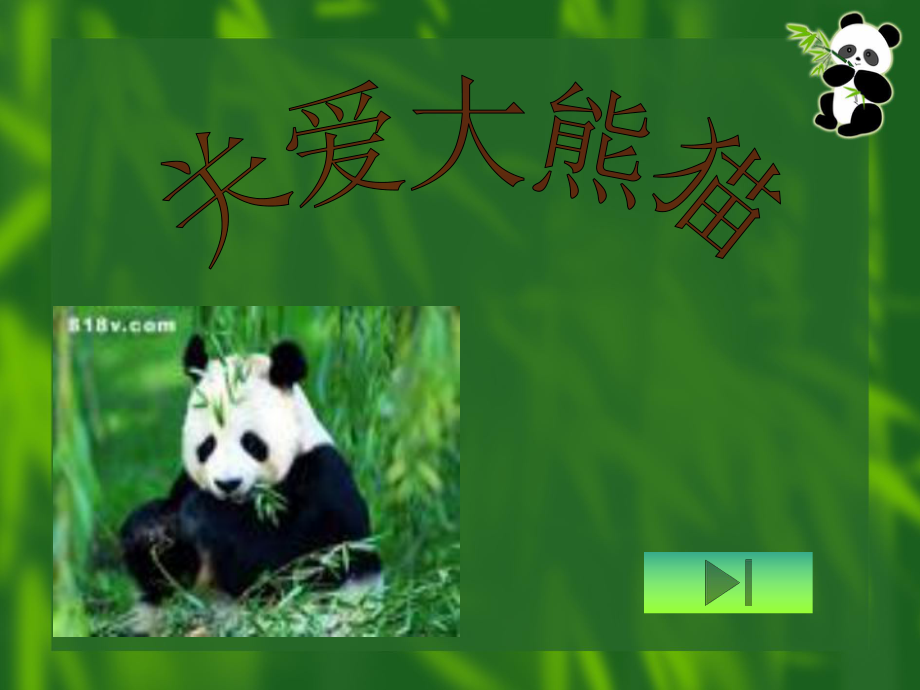 关爱大熊猫ppt课件_第1页