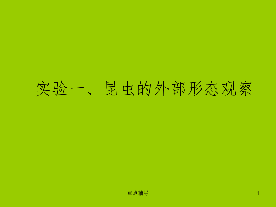 实验一昆虫的外部形态特征观察重要知识_第1页