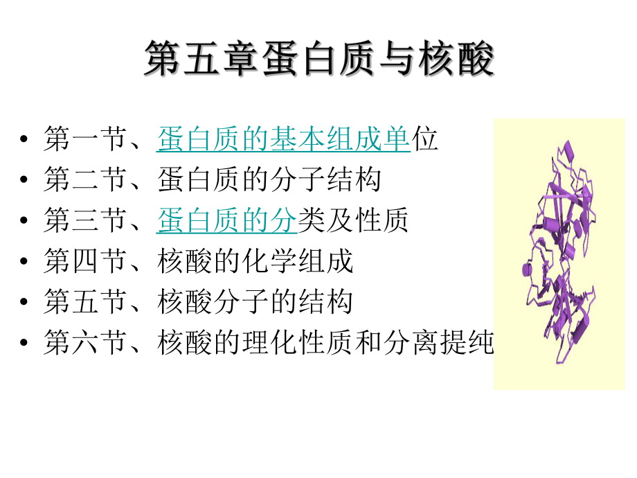 张忠版食品生物化学第5章蛋白质与核酸1ppt课件_第1页