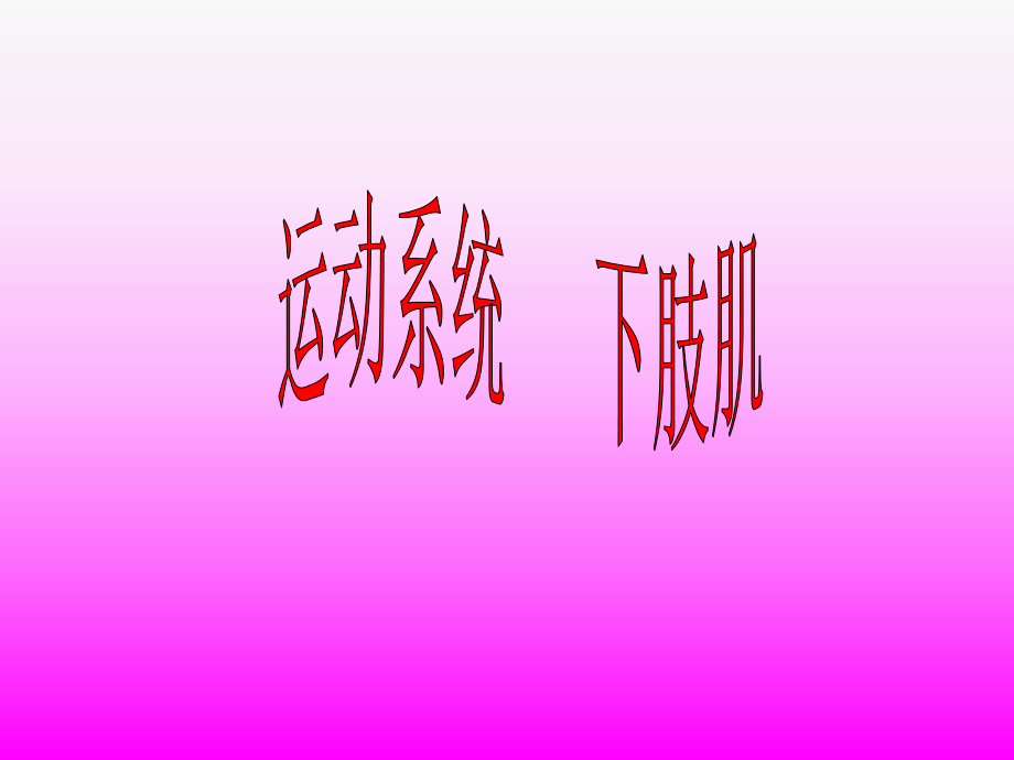 人体解剖骨骼肌下肢肌_第1页