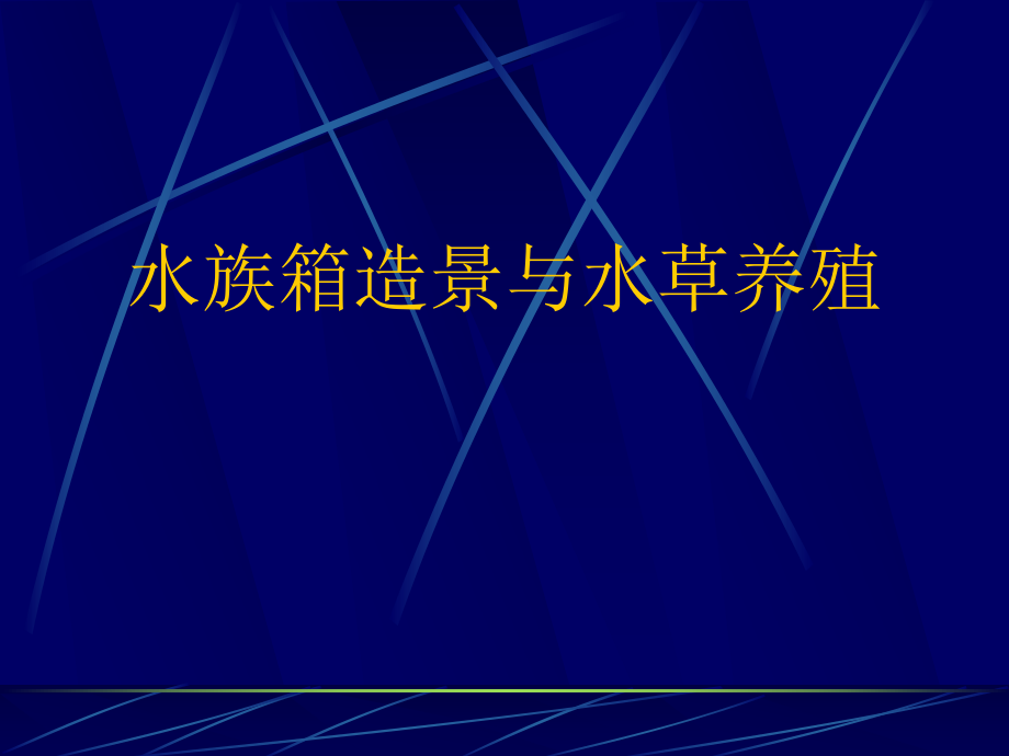 水族箱造景与水草养殖_第1页