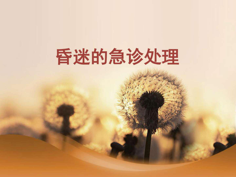 昏迷的急诊处理ppt课件_第1页