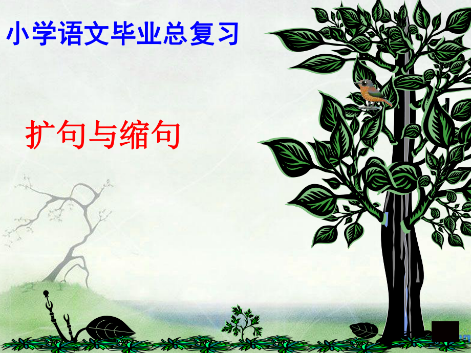 六年级复习1缩句扩句复习课件_第1页