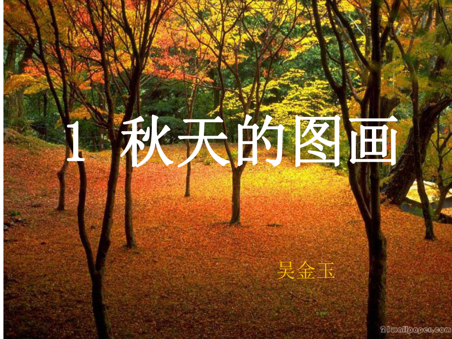 天的图画演示文稿_第1页