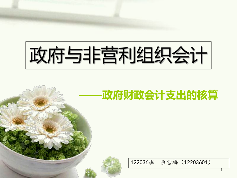 政府与非营利组织会计_第1页