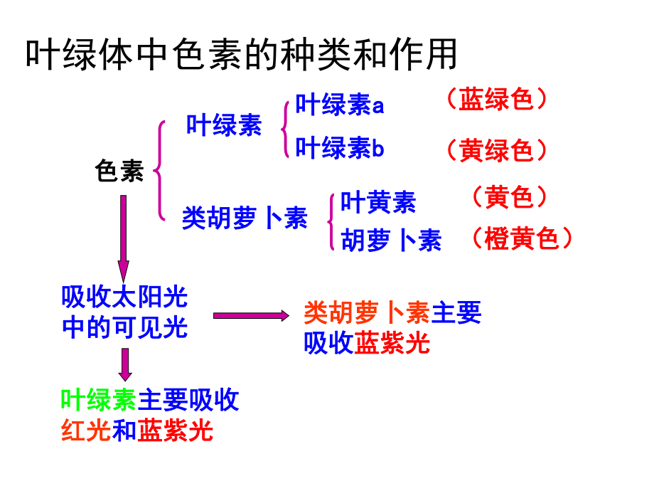 叶绿体中色素的种类和作用_第1页