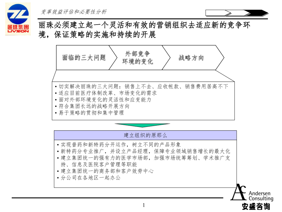 安盛丽珠战略2_第1页