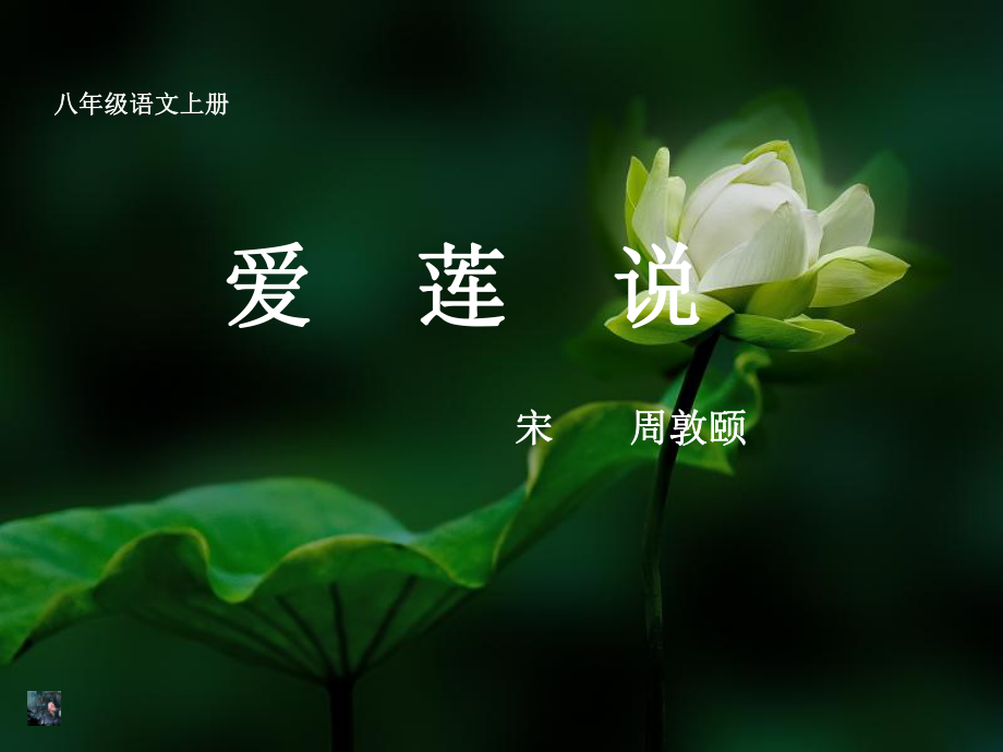 八级语文上册 第22课《爱莲说》课件 人教新课标_第1页