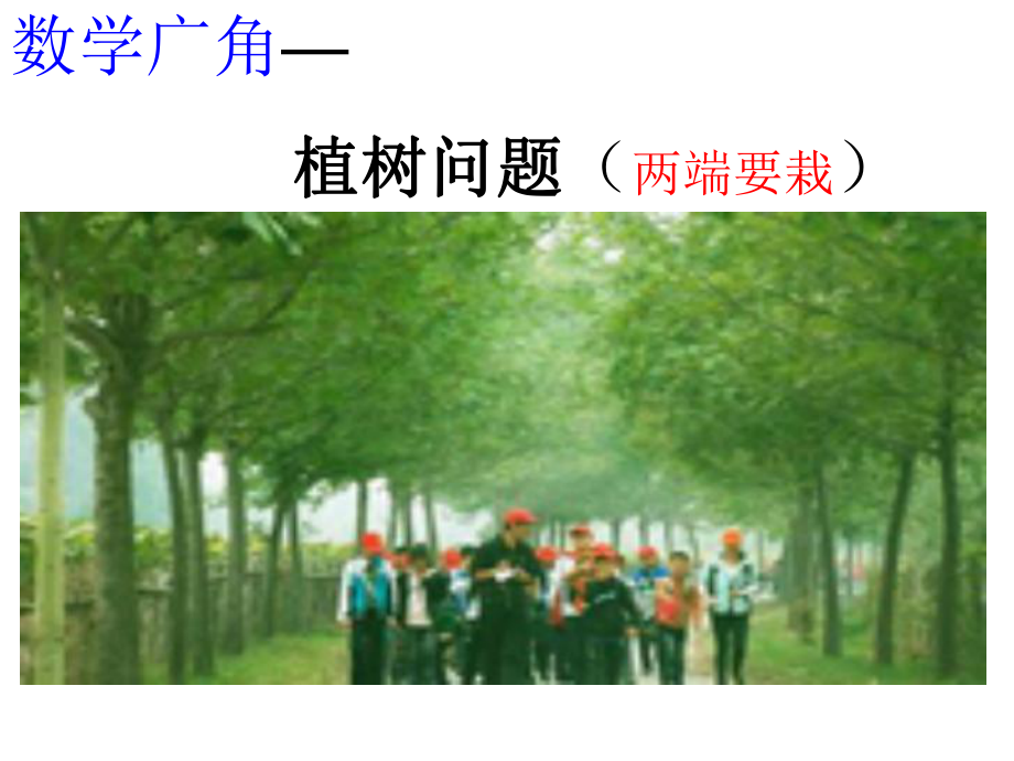 在一条线段上植树两端都栽PPT课件_第1页