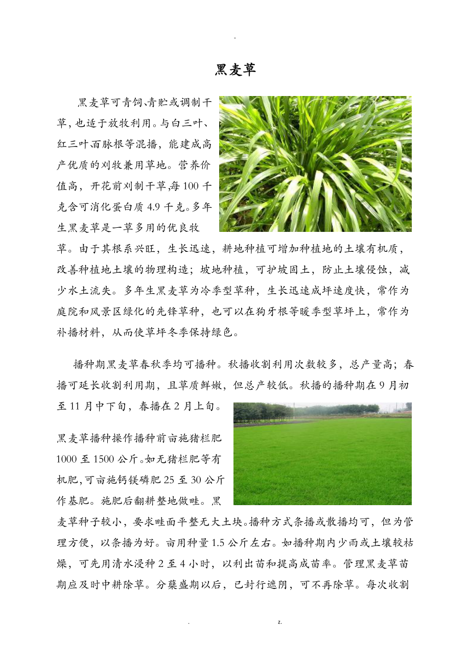 牧草种植技术_第1页