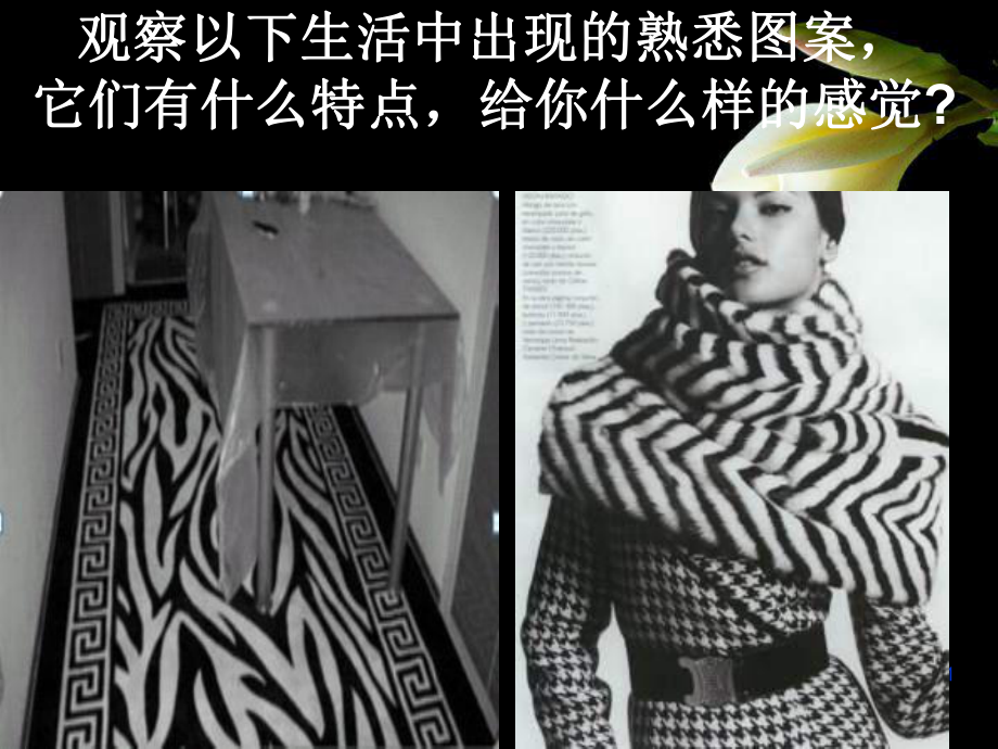 线条的魅力文档资料_第1页