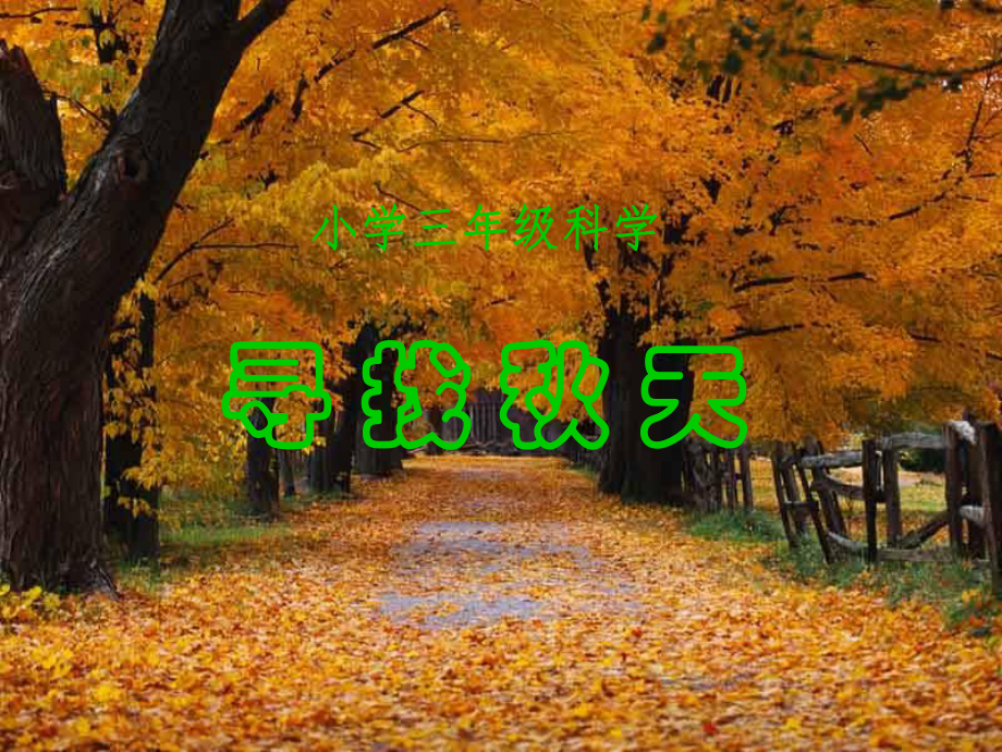 2022秋三年级科学上册 3.1《寻找秋天》课件2 大象版_第1页