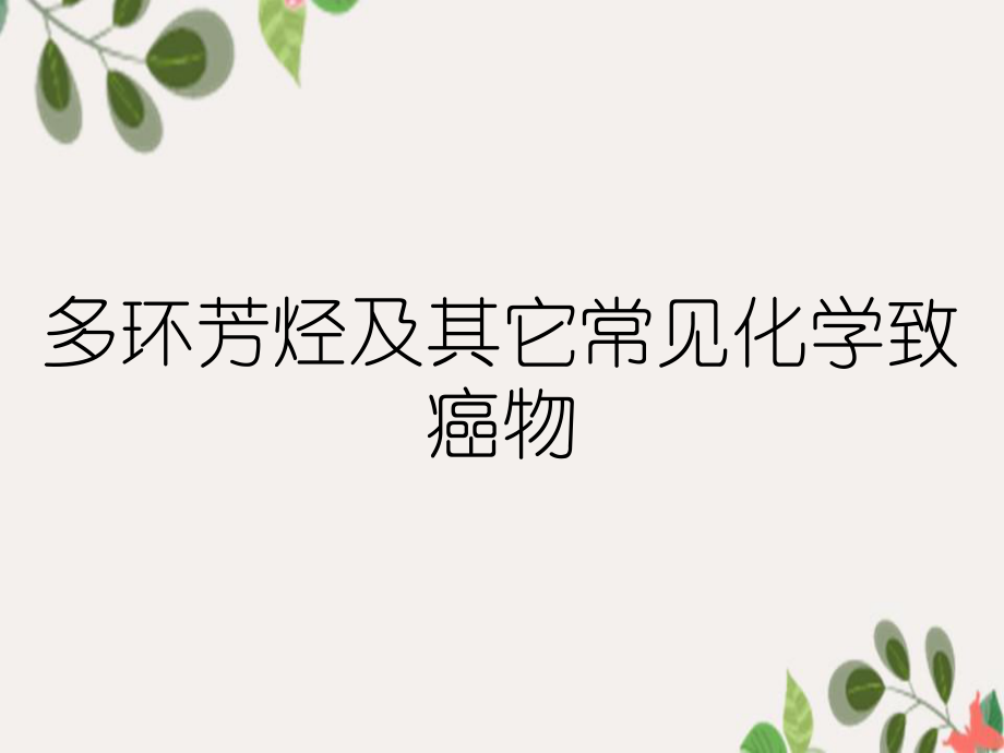 多环芳烃及其它常见化学致癌物_第1页