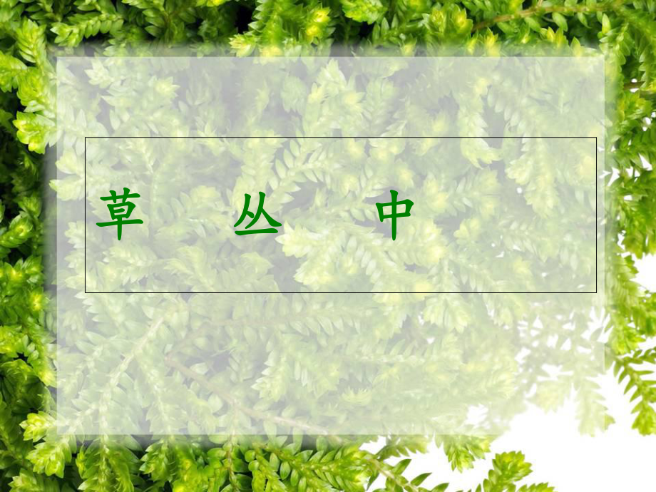 四年级上册美术第5课草丛中湘美版1ppt课件_第1页