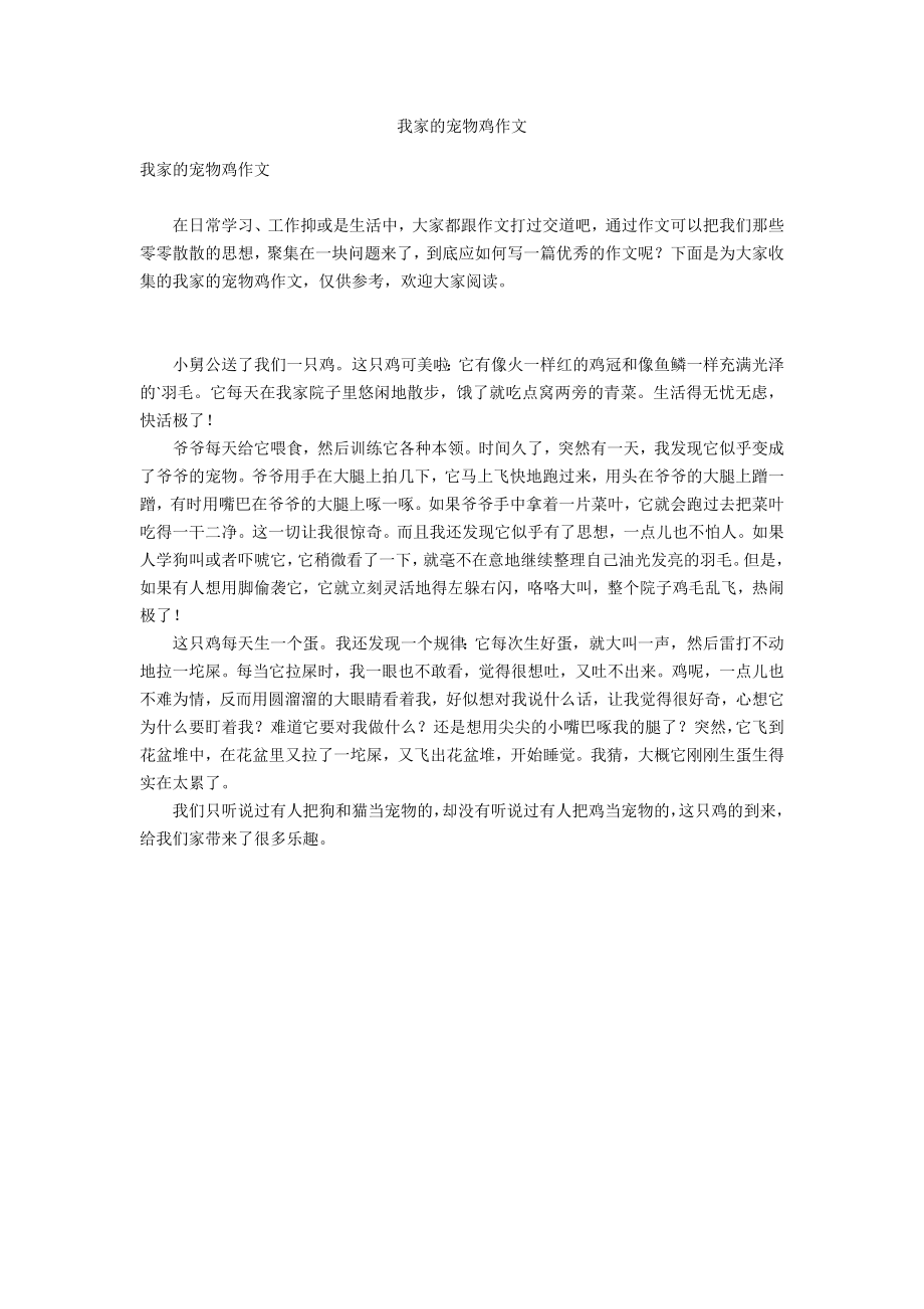 我家的宠物鸡作文_第1页