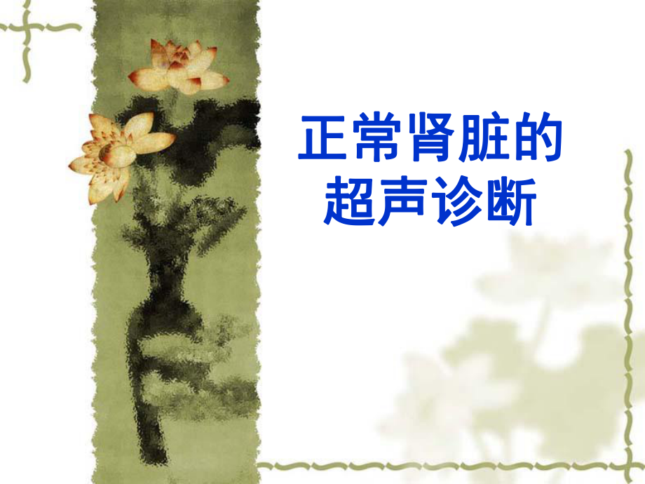 正常肾脏的超声诊断课件_第1页