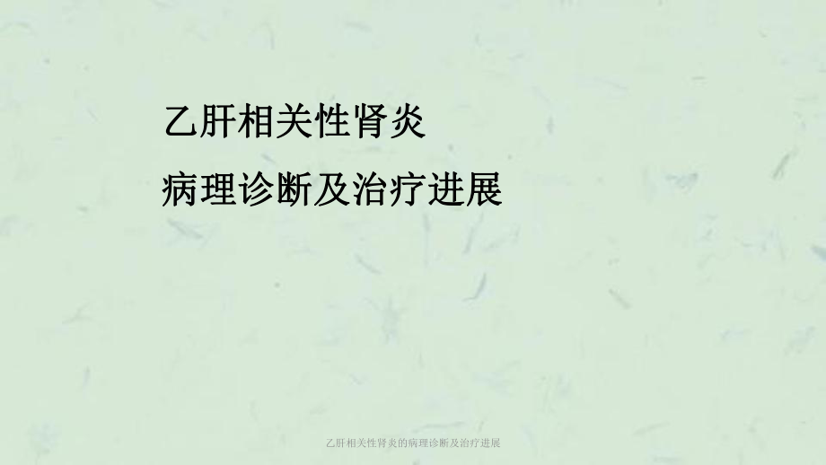 乙肝相关性肾炎的病理诊断及治疗进展课件_第1页