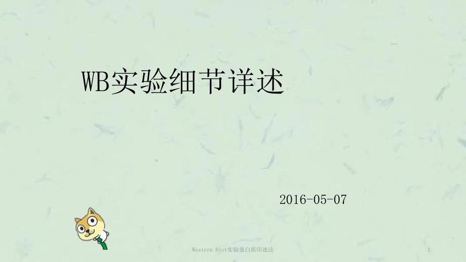 WesternBlot实验蛋白质印迹法课件_第1页