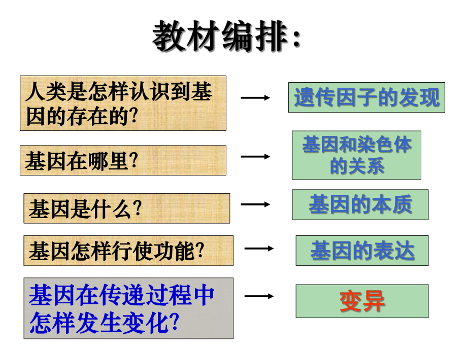 251基因突变和基因重组_第1页
