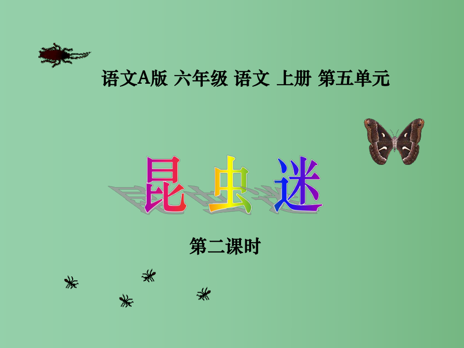 六年级语文上册 昆虫迷 1 第二课时课件 语文A版_第1页