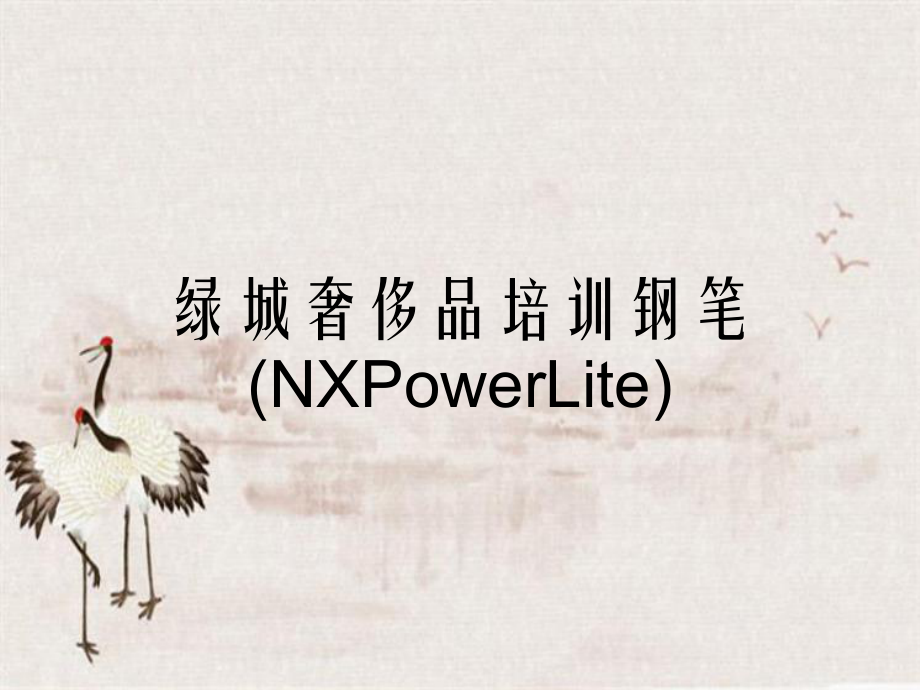 绿城奢侈品培训钢笔NXPowerLite_第1页