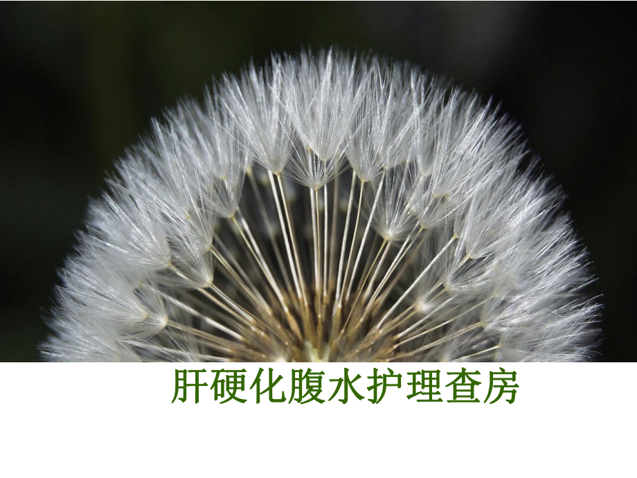 肝硬化腹水护理查房优秀课件_第1页