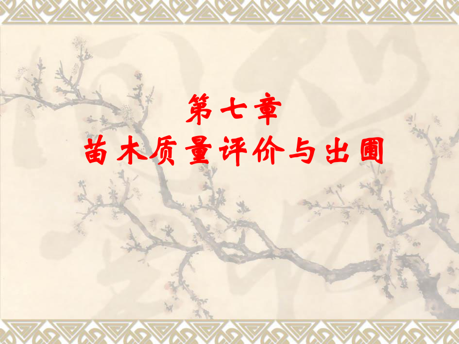 《苗木质量评价》PPT课件_第1页