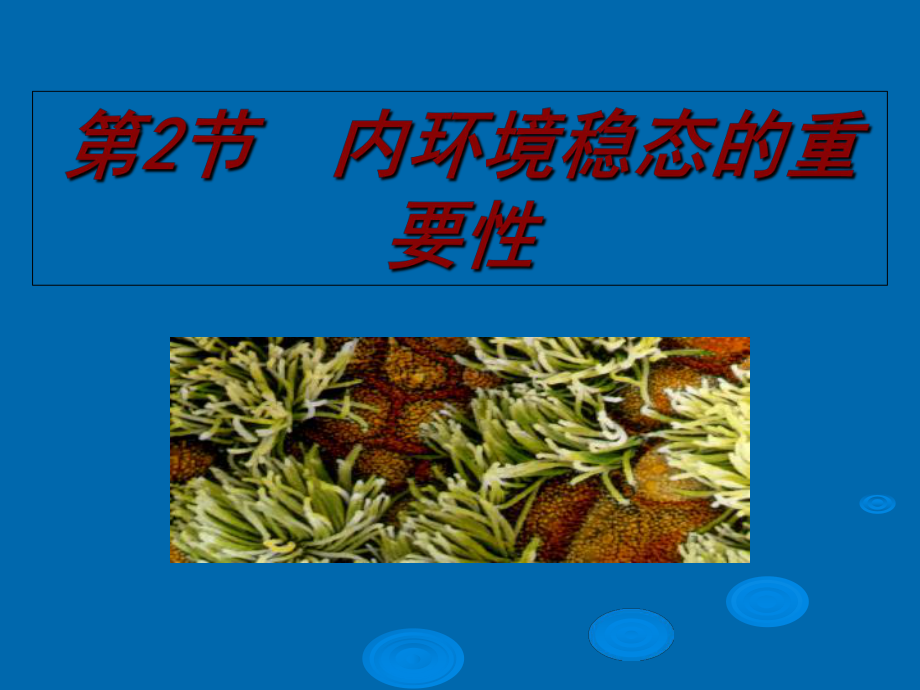 内环境稳态的重要性_第1页