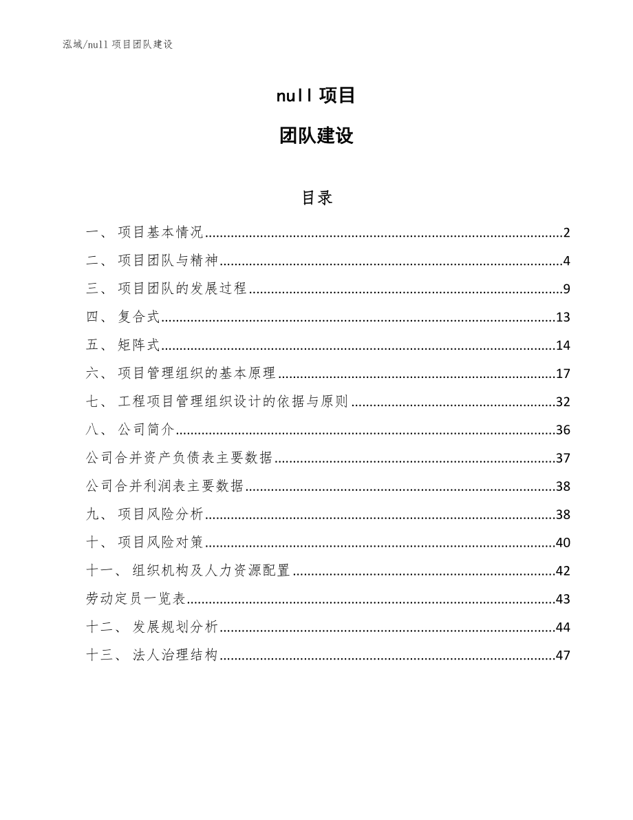 null项目团队建设（范文）_第1页