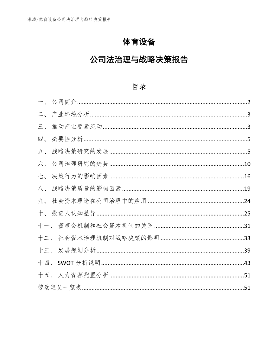 体育设备公司法治理与战略决策报告【参考】_第1页