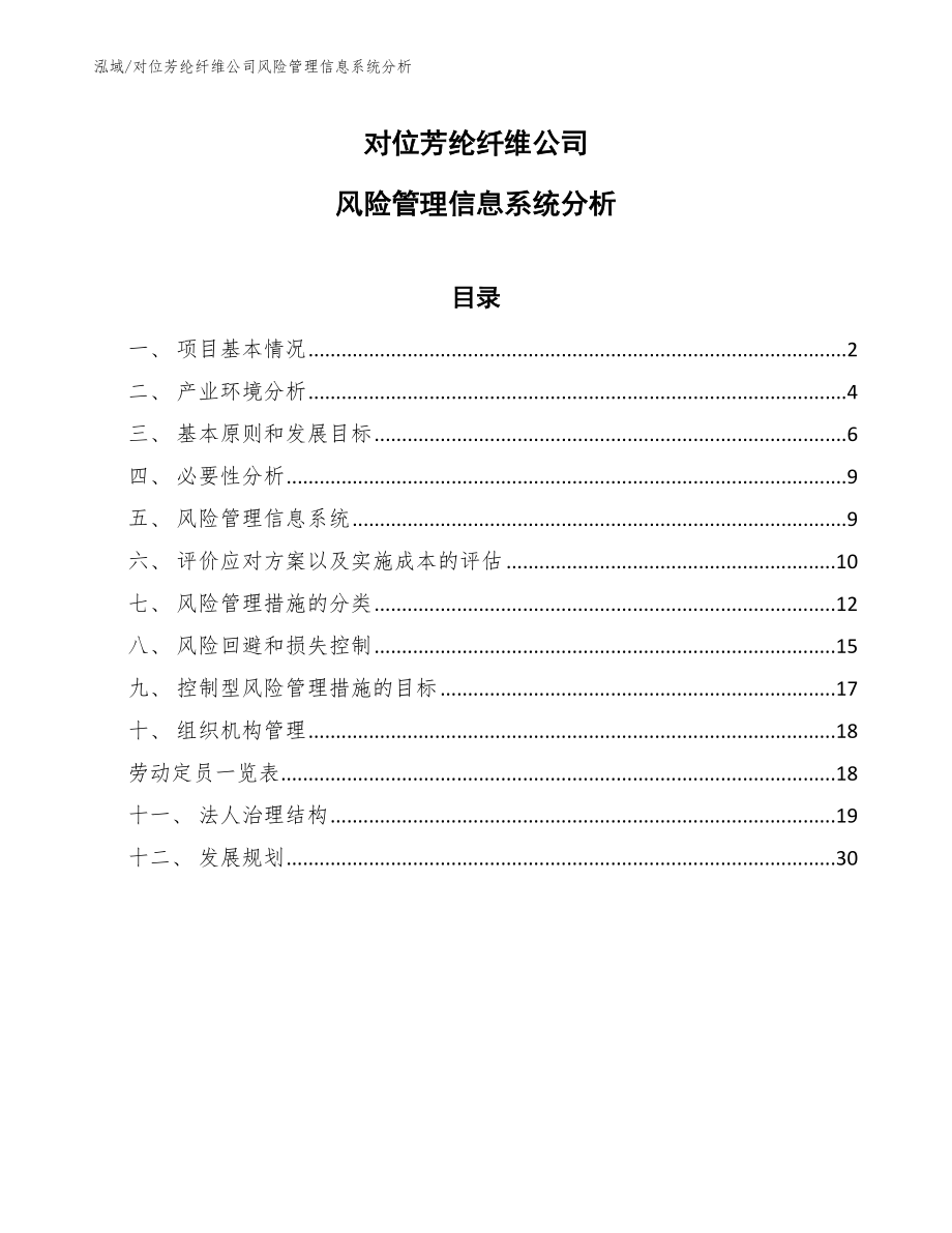 对位芳纶纤维公司风险管理信息系统分析_参考_第1页