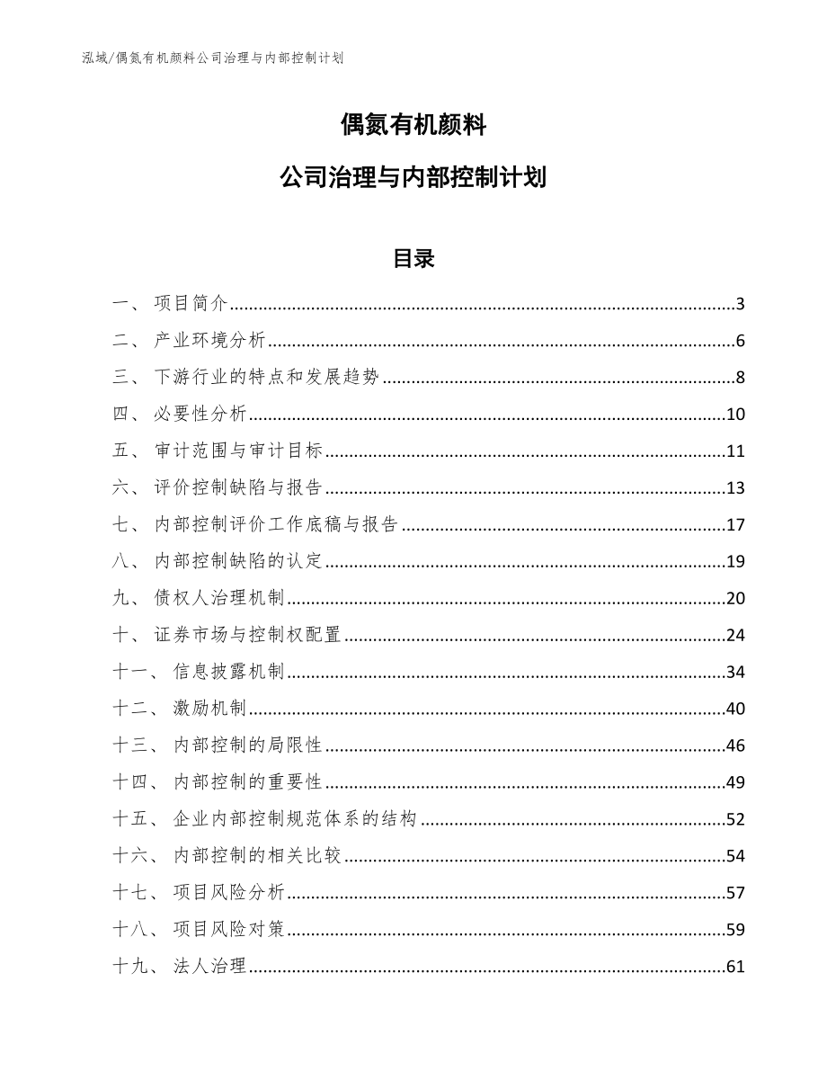 偶氮有机颜料公司治理与内部控制计划_范文_第1页