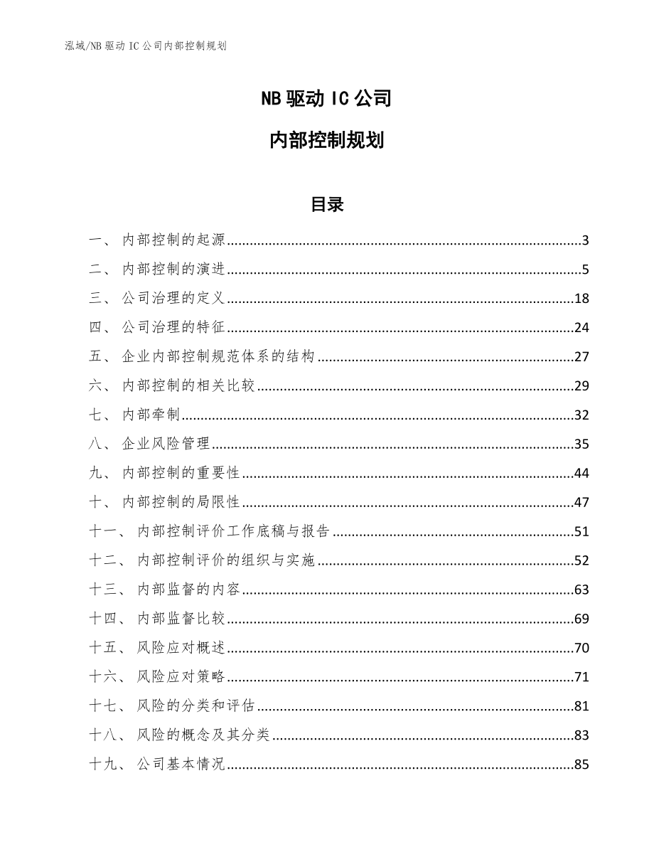 NB驱动IC公司内部控制规划（范文）_第1页