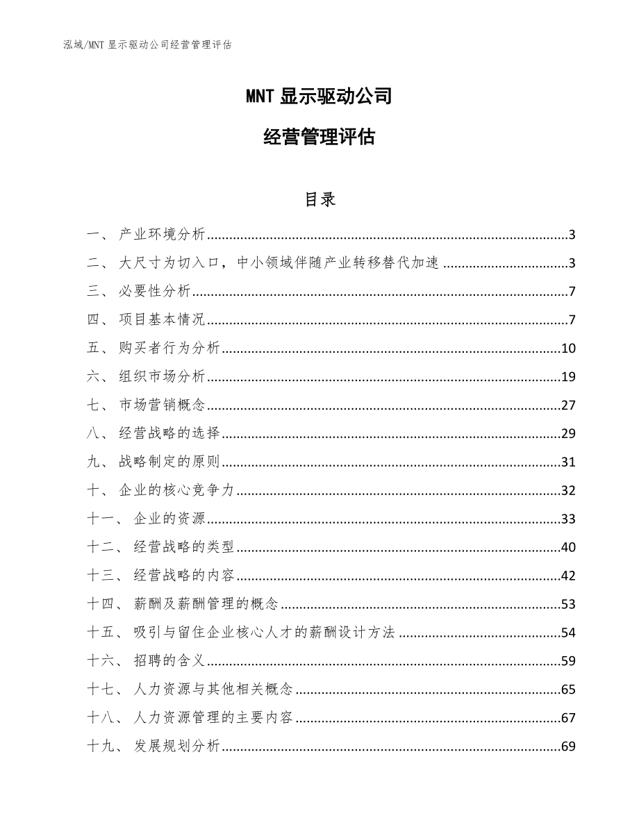 MNT显示驱动公司经营管理评估（范文）_第1页