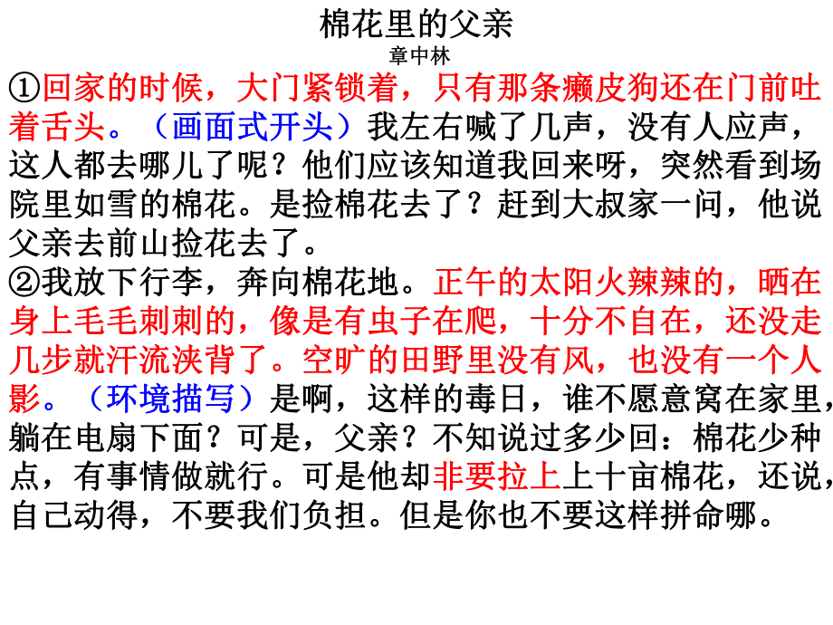 散文阅读理解《棉花里的父亲》_第1页