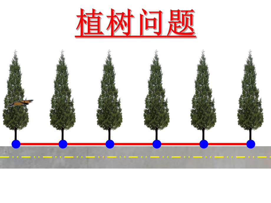 植树问题课件_第1页