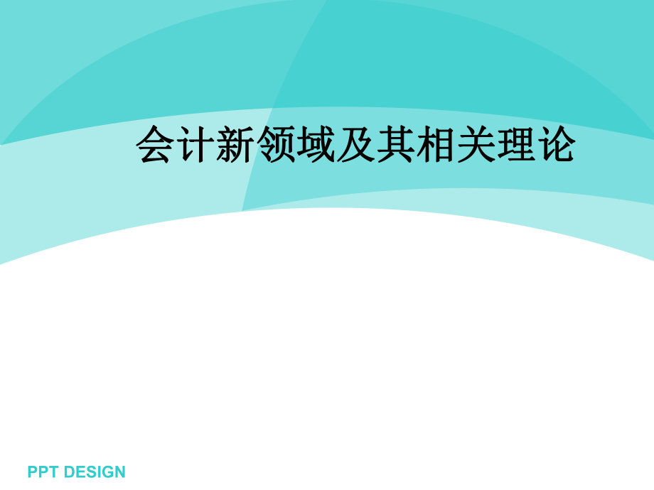 会计新领域及其相关理论_第1页