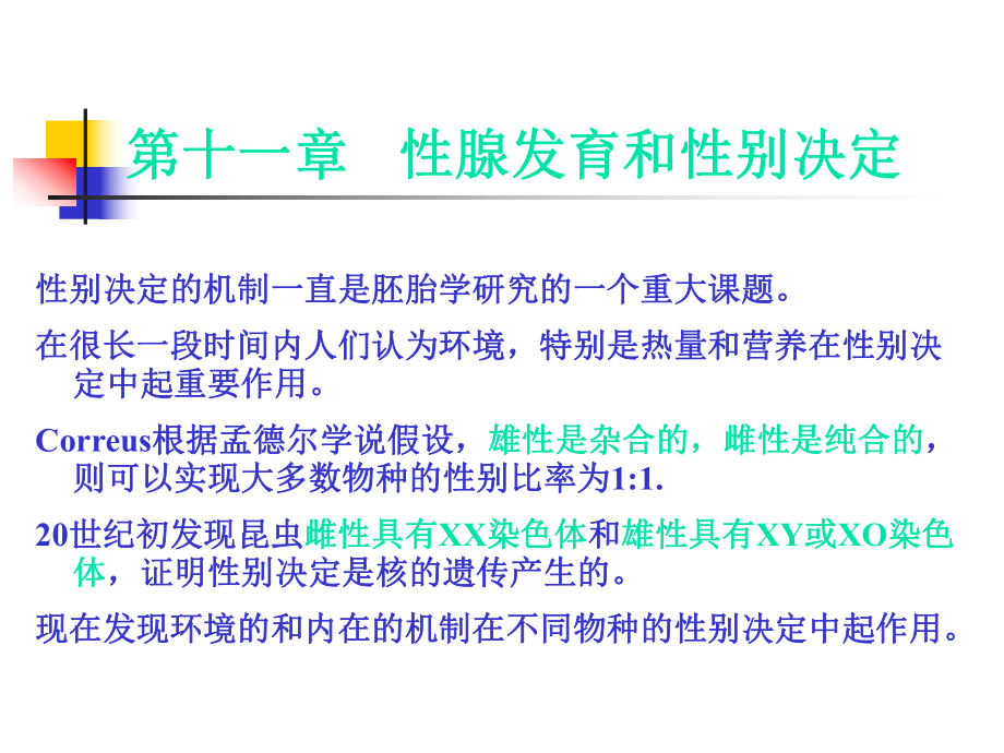 A性腺发育和性别决定课件_第1页