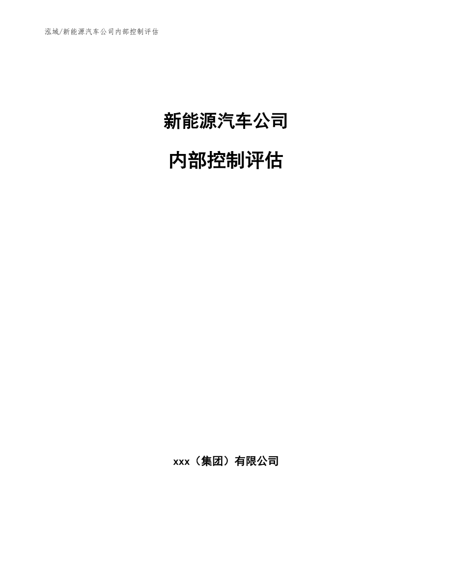 新能源汽车公司内部控制评估_第1页