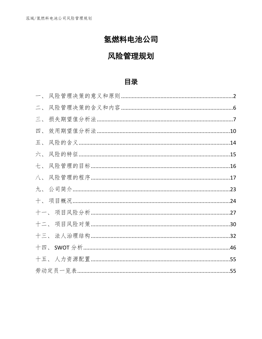 氢燃料电池公司风险管理规划_第1页