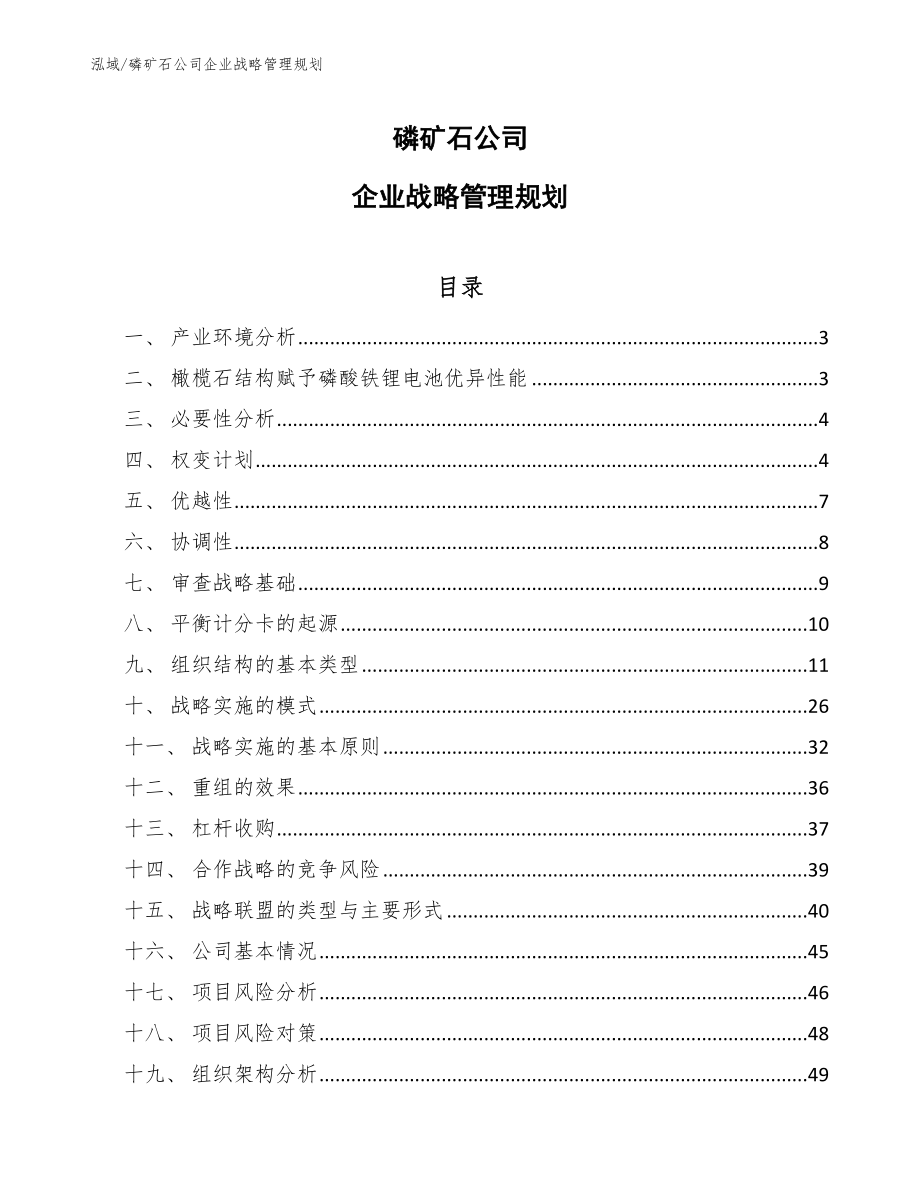 磷矿石公司企业战略管理规划【范文】_第1页